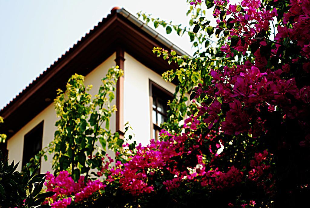 Deja Vu Hotel Antália Exterior foto